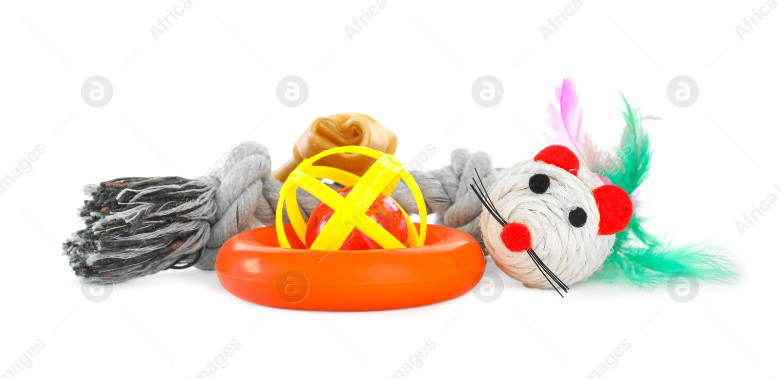Photo of Different pet toys and dog treat isolated on white