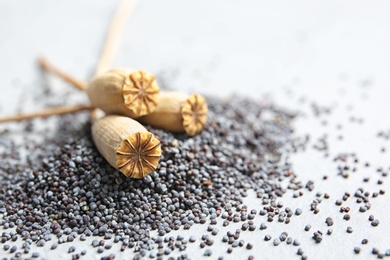 Photo of Dry poppy heads and seeds on grey background, closeup