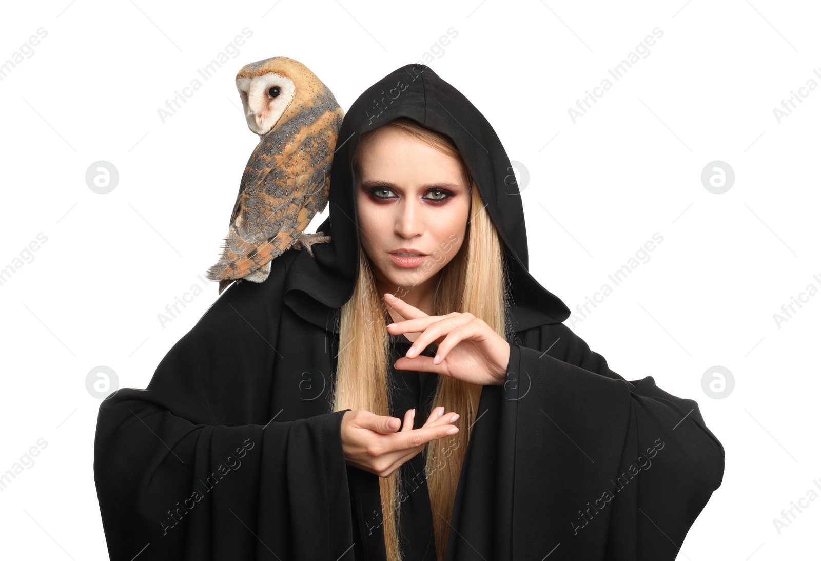 Photo of Witch in black mantle with owl isolated on white. Scary fantasy character