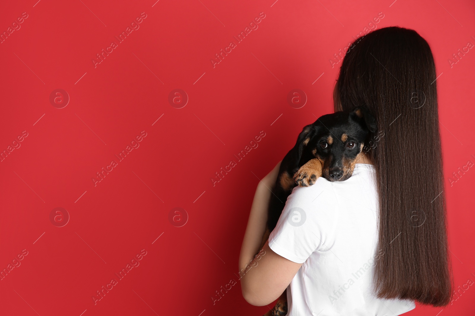 Photo of Young woman with cute puppy on red background. Space for text