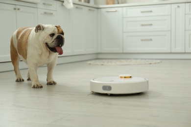 Robotic vacuum cleaner and adorable dog on floor in kitchen