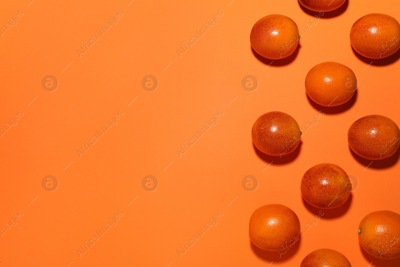 Photo of Many ripe sicilian oranges on orange background, flat lay. Space for text