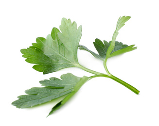 Aromatic fresh green parsley isolated on white