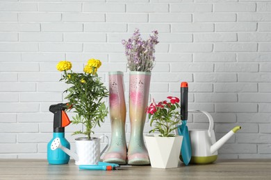 Beautiful flowers and gardening tools on wooden table near white brick wall