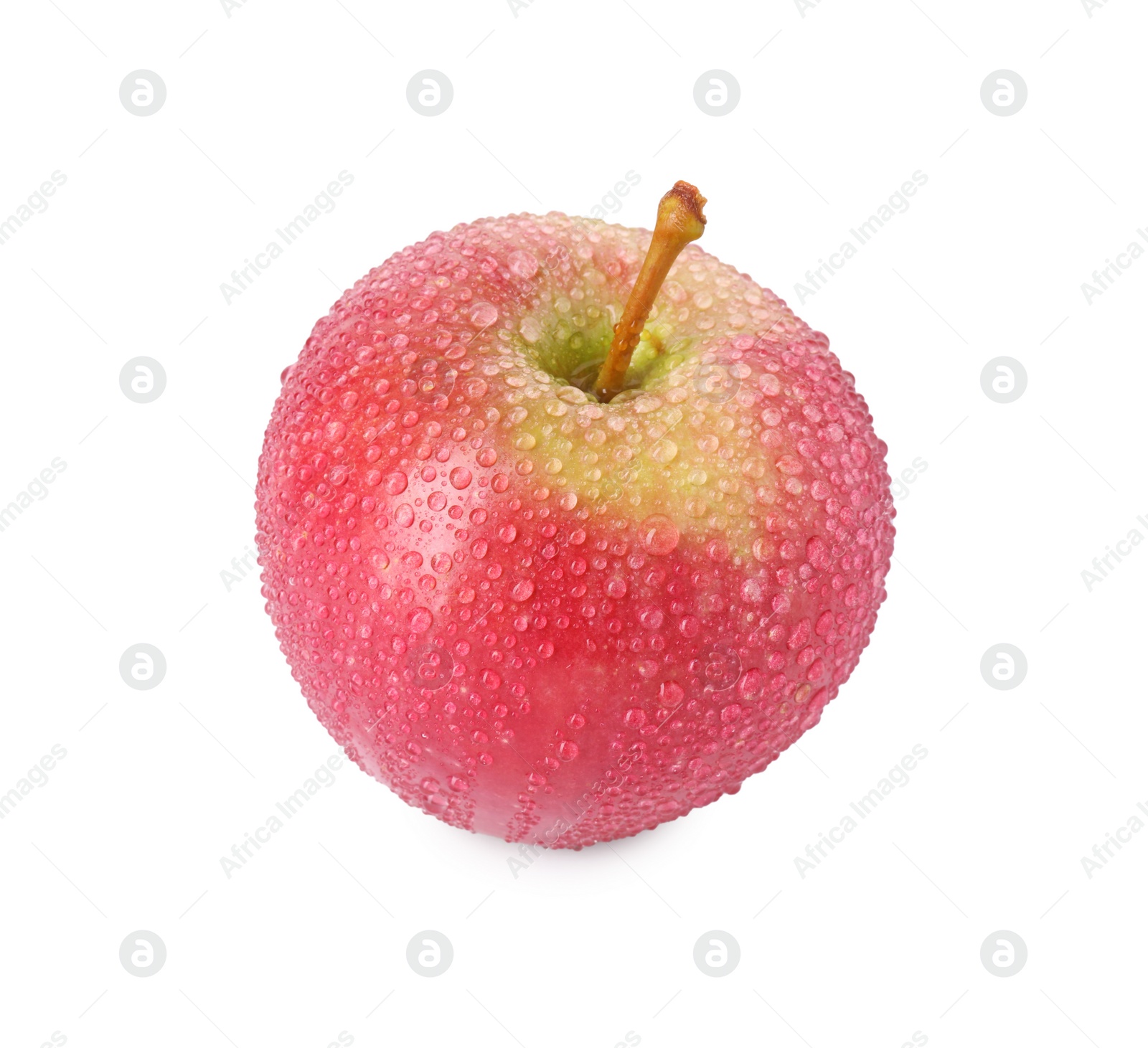 Photo of One ripe red apple with water drops isolated on white