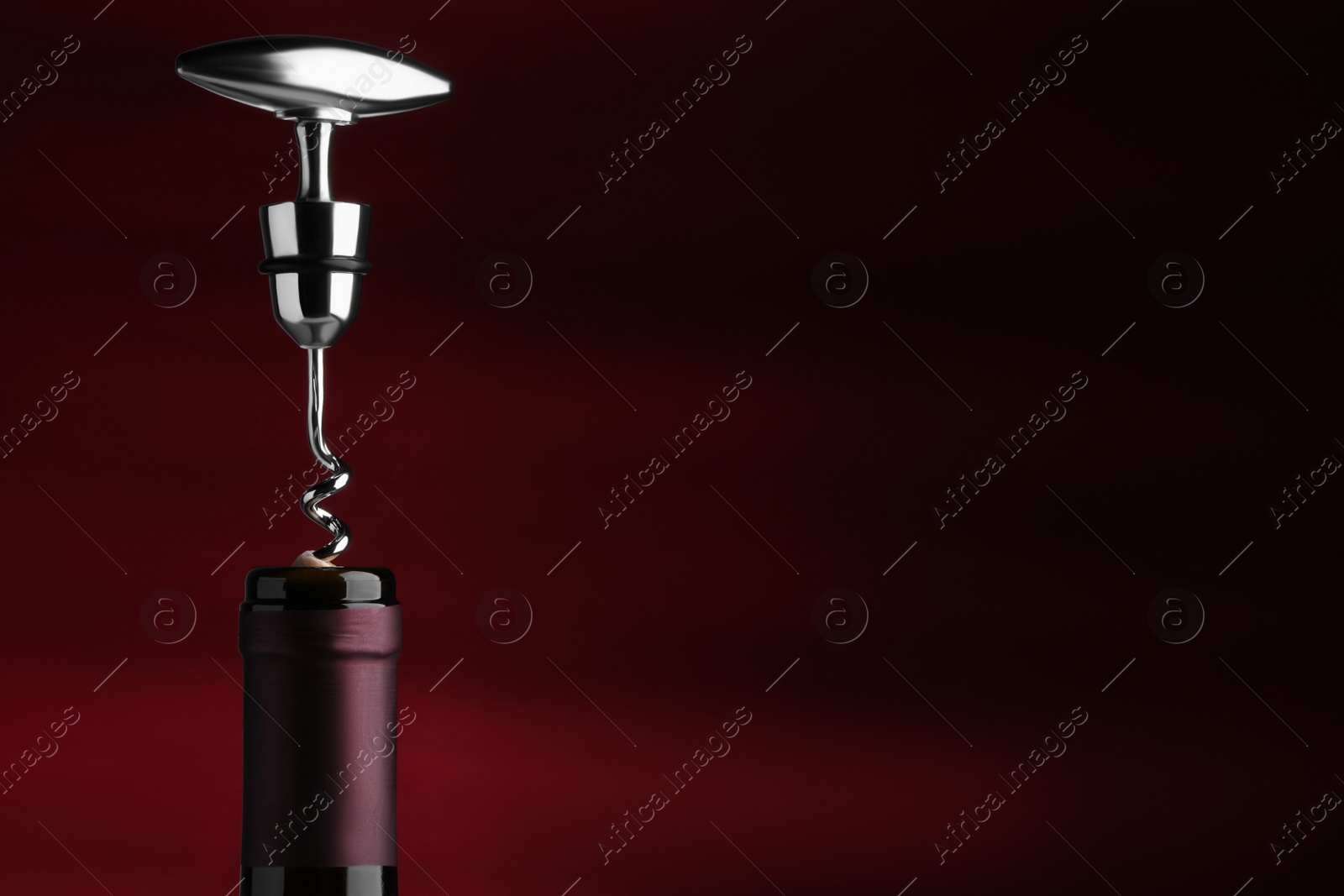 Photo of Opening bottle of wine with corkscrew on burgundy background. Space for text