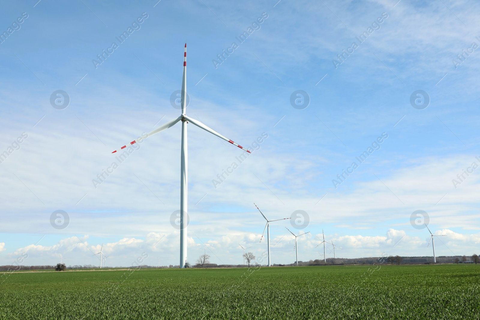 Photo of Modern wind turbines in field on sunny day. Alternative energy source