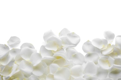 Photo of Beautiful rose flower petals on white background, top view