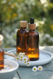 Bottles of chamomile essential oil and flowers on grey wooden table