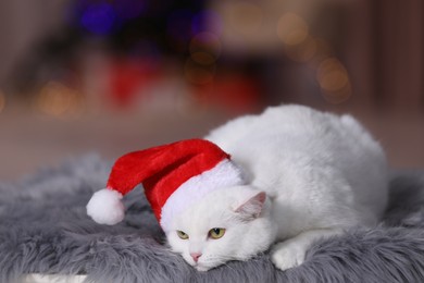 Photo of Cute cat wearing Christmas hat on fur rug against blurred lights. Space for text
