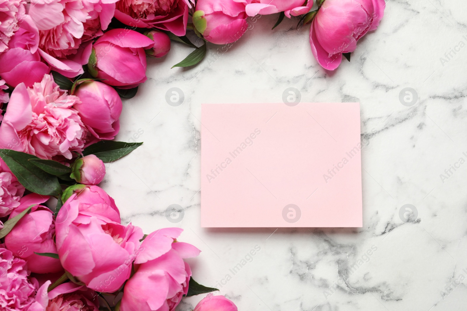 Photo of Fragrant peonies and blank card on marble table, top view with space for text. Beautiful spring flowers