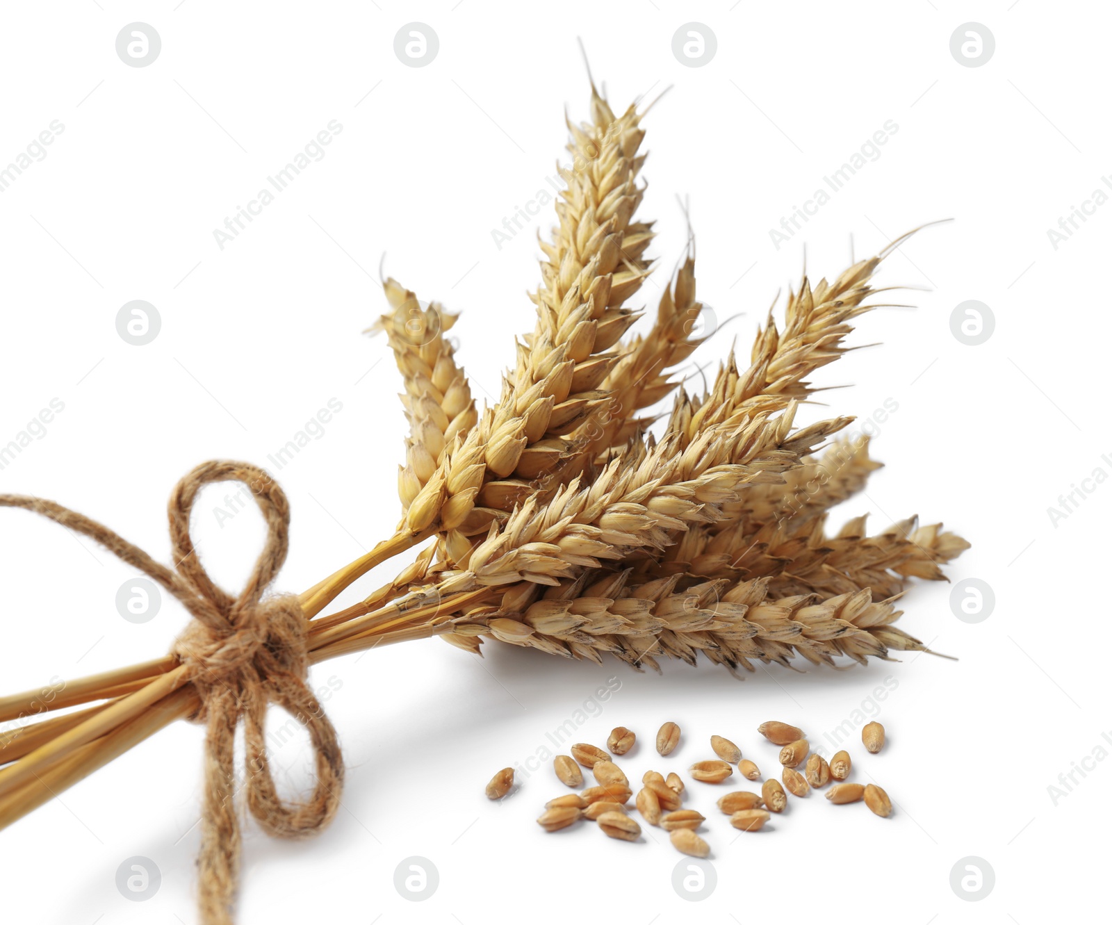 Photo of Ears of wheat and grains isolated on white