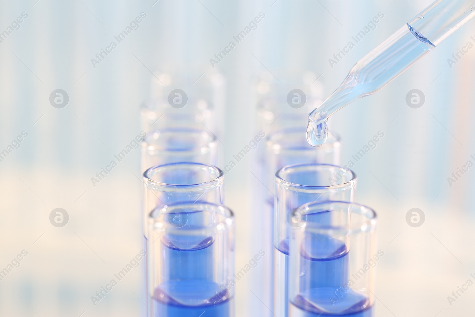 Photo of Laboratory analysis. Dripping light blue liquid from pipette into glass test tube on blurred background, closeup