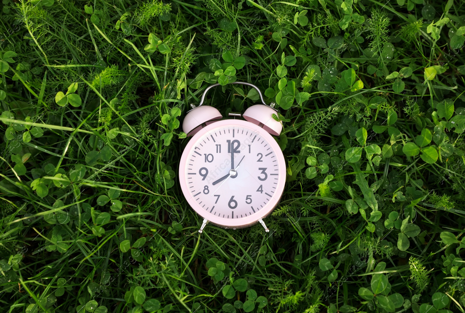 Photo of Pink small alarm clock on green grass outdoors, top view