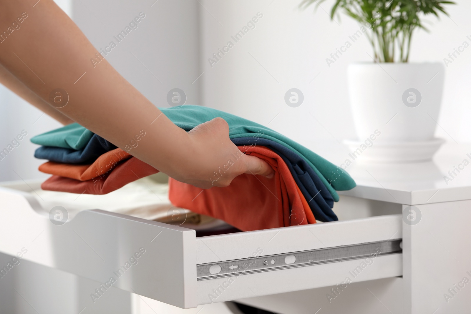 Photo of Woman putting clean clothes into drawer at home, closeup