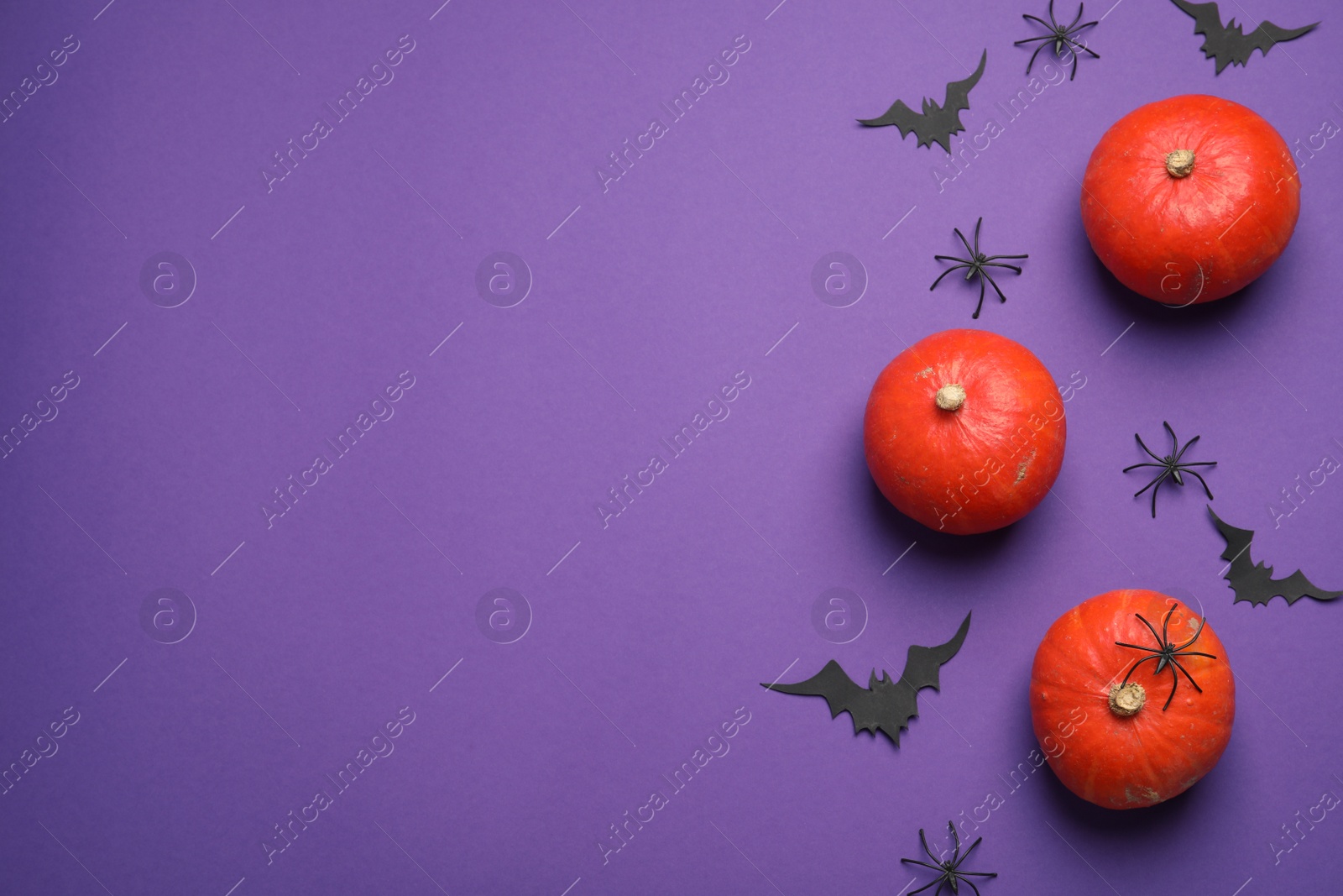 Photo of Flat lay composition with pumpkins, paper bats and spiders on purple background, space for text. Halloween decor