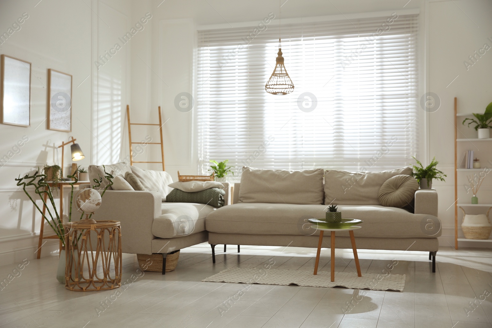 Photo of Stylish living room interior with comfortable grey sofa and beautiful pictures