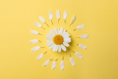 Photo of Flat lay composition with beautiful chamomile on yellow background