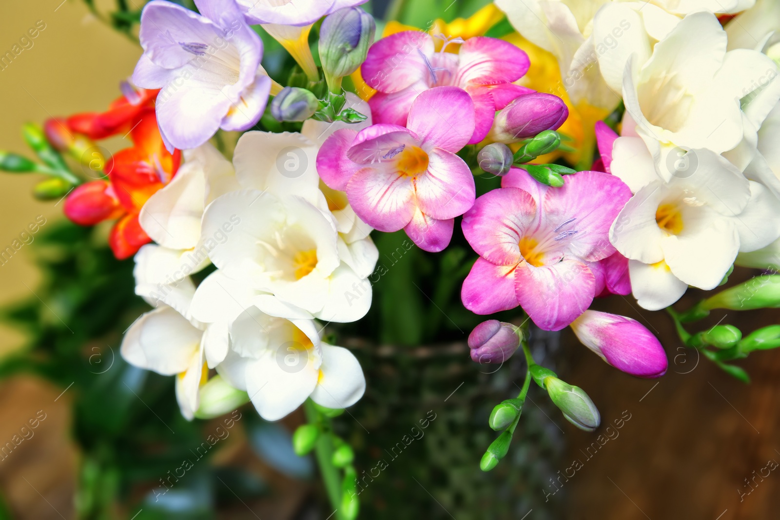 Photo of Beautiful bouquet of freesia flowers, closeup