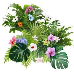 Image of Beautiful composition with tropical leaves and flowers on white background