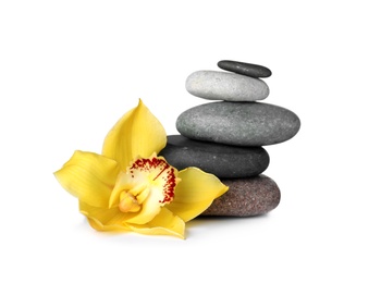 Photo of Spa stones and beautiful orchid on white background