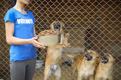 Photo of Woman holding bowl of food near cage with homeless dogs in animal shelter. Volunteering concept
