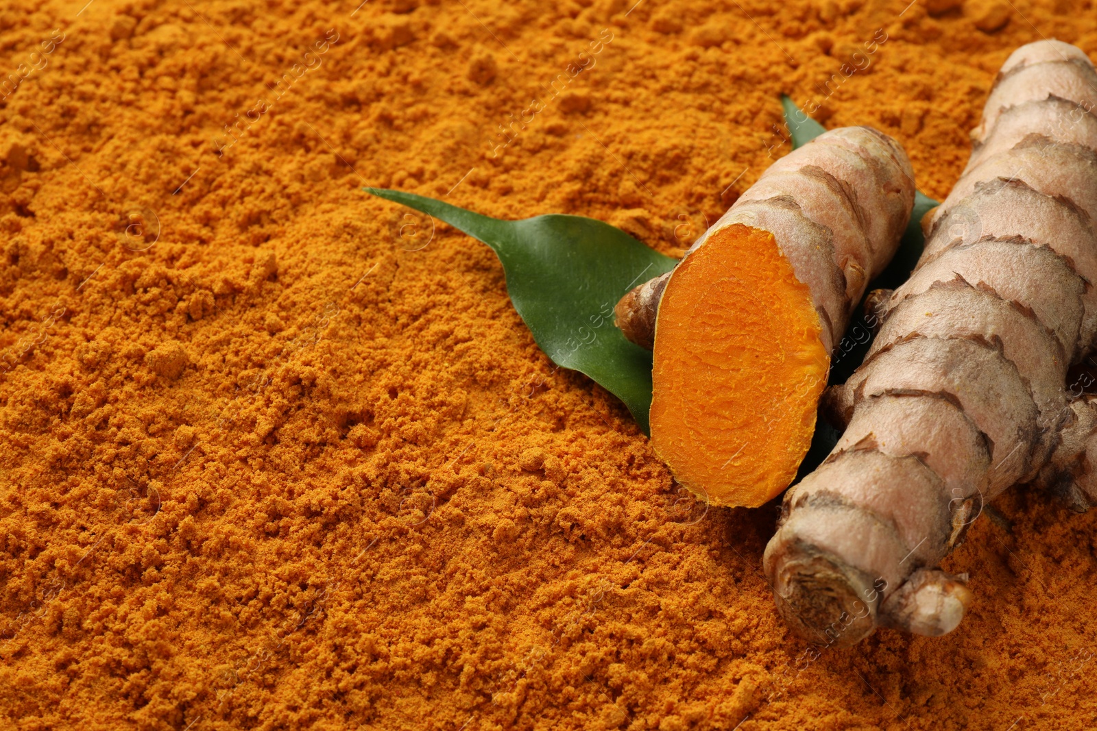 Photo of Raw roots and leaves on aromatic turmeric powder, closeup. Space for text