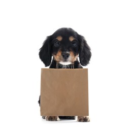 Image of Cute English Cocker Spaniel puppy holding paper shopping bag on white background