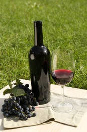 Photo of Red wine and delicious grapes served on green grass outdoors