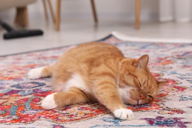 Photo of Cute ginger cat lying on carpet at home