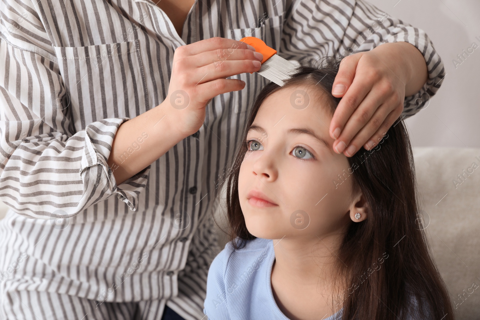 Photo of Mother using nit comb on her daughter's hair indoors. Anti lice treatment