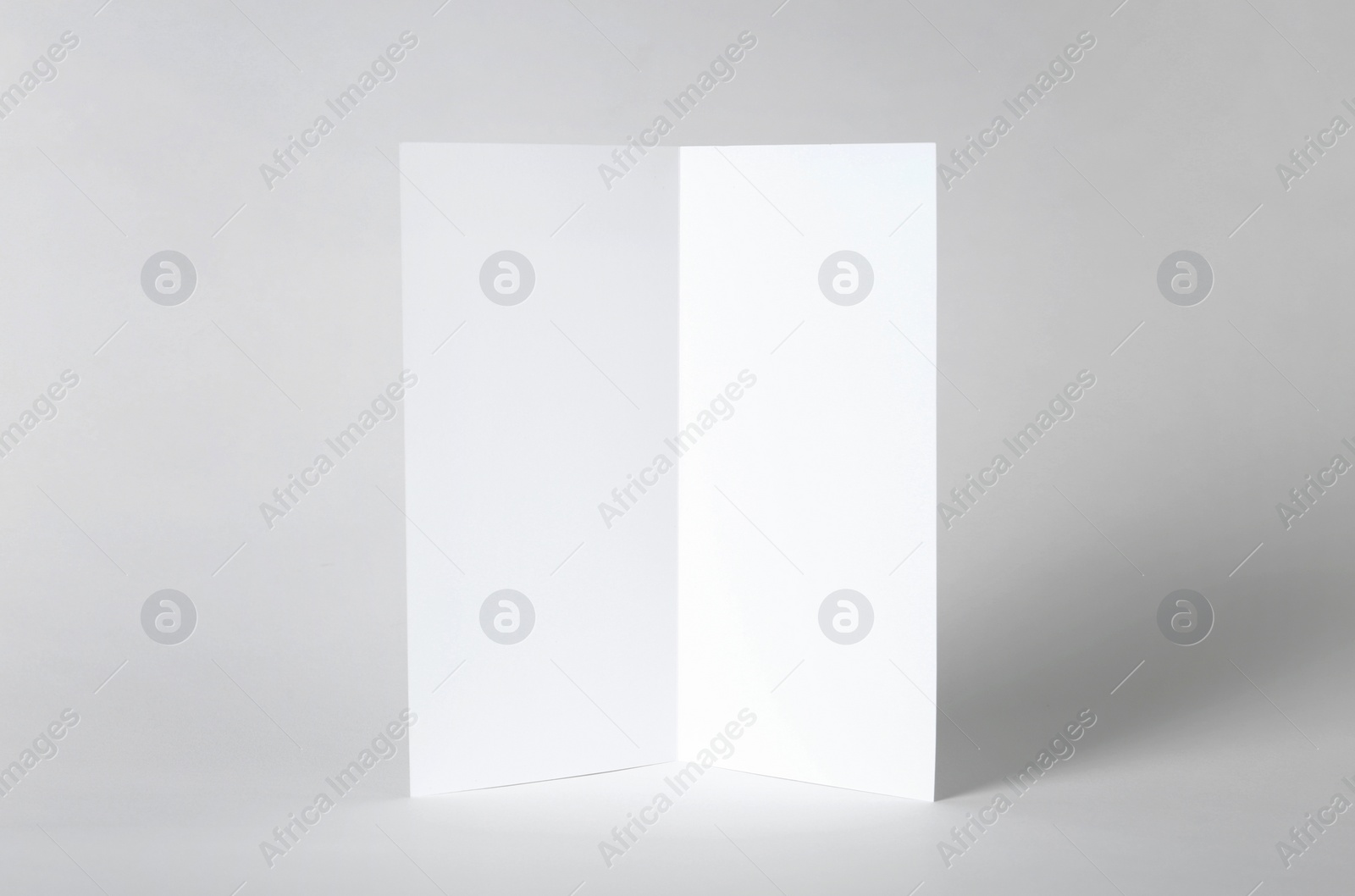 Photo of Blank brochure mock up on color background