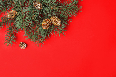 Top view of fir branches on red background, space for text. Winter holidays
