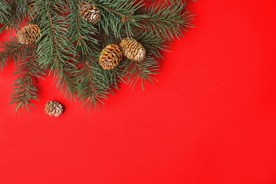 Photo of Top view of fir branches on red background, space for text. Winter holidays