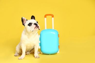 Photo of French bulldog with little suitcase on yellow background. Space for text