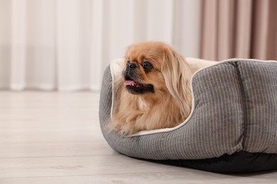 Photo of Cute Pekingese dog on pet bed in room