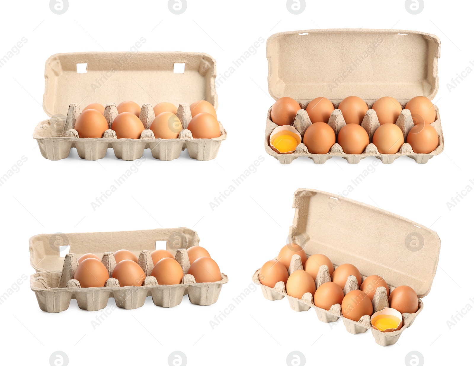 Image of Brown chicken eggs in egg cartons isolated on white, set