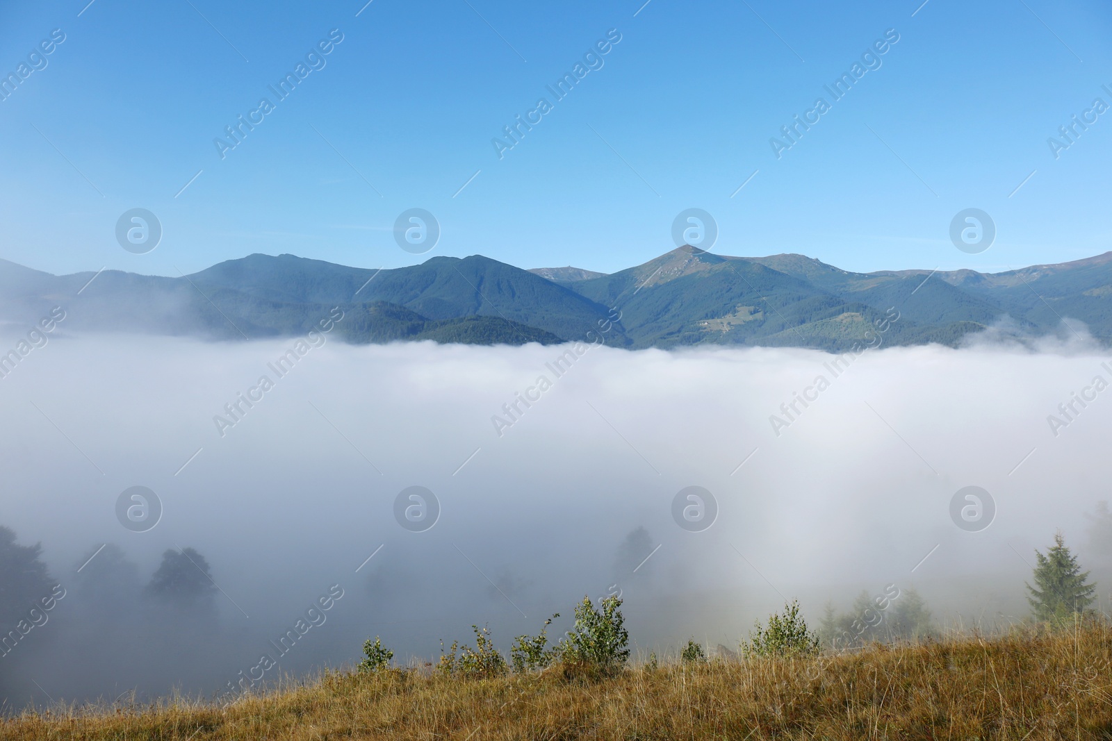 Photo of Picturesque view of mountains covered with fog