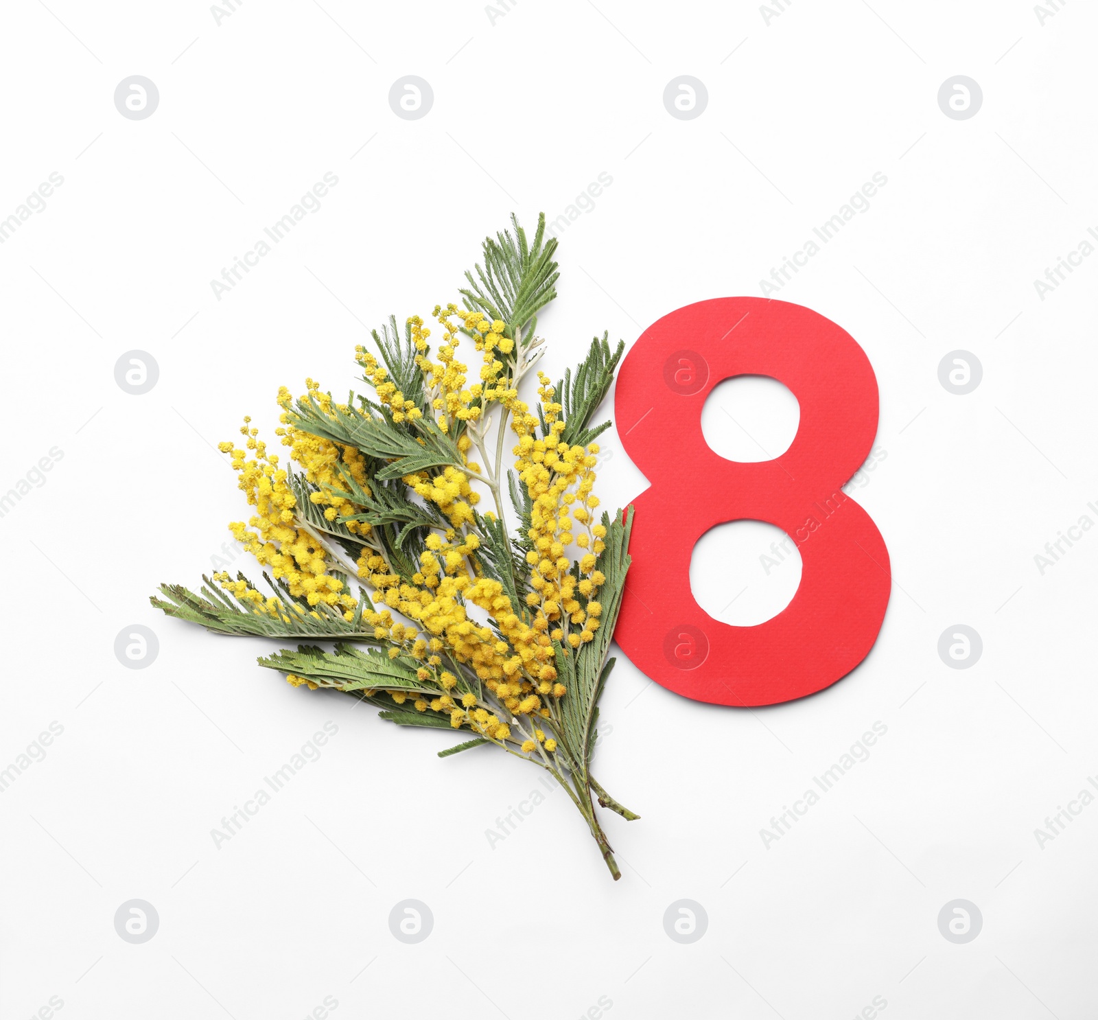 Photo of 8 March greeting card design with beautiful mimosa flowers on white background, flat lay