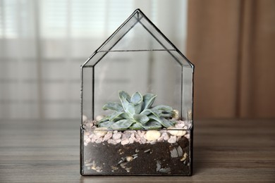 Glass florarium vase with succulent on wooden table indoors