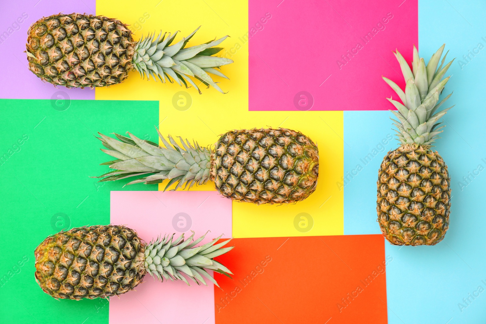 Photo of Fresh pineapples on color background, flat lay