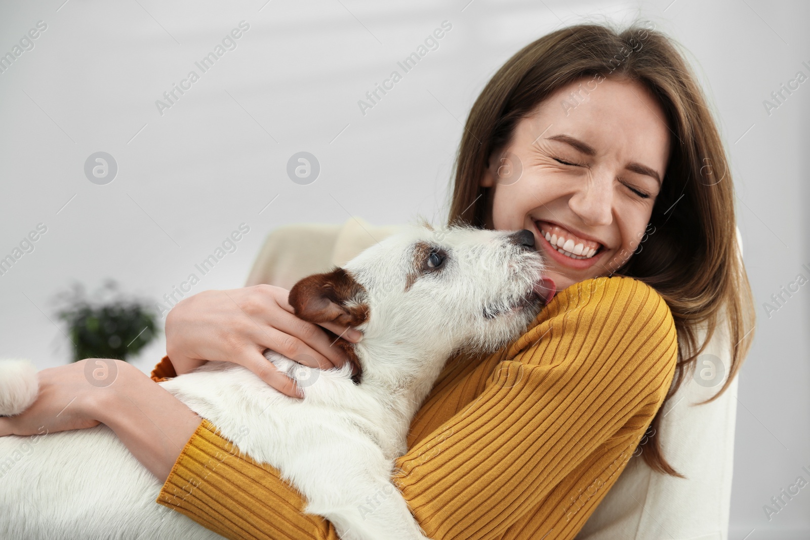 Photo of Young woman with her cute Jack Russell Terrier at home. Lovely pet