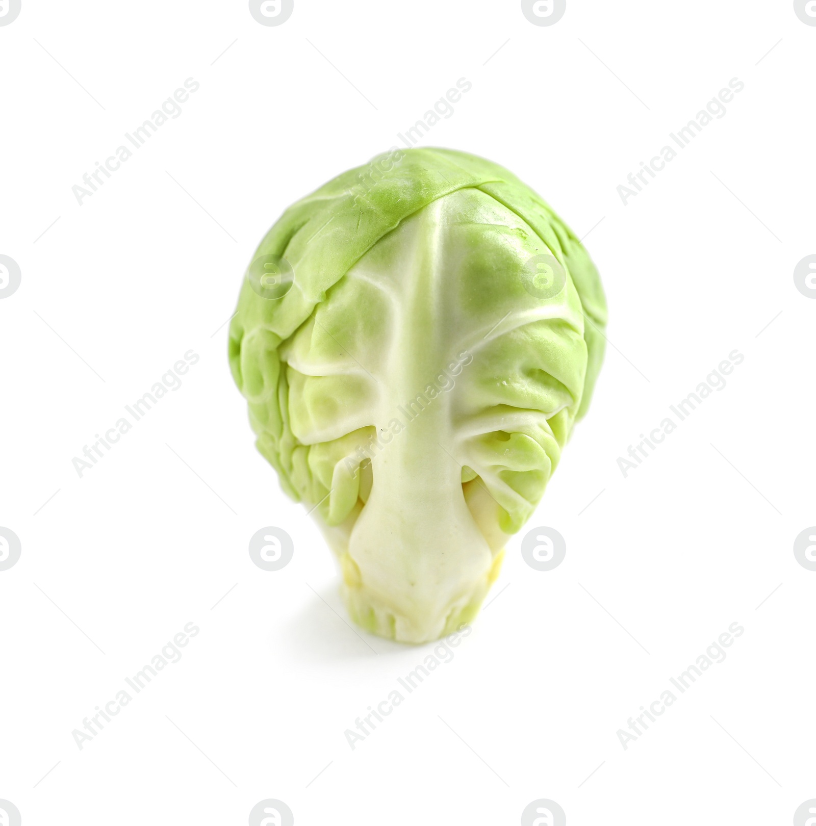 Photo of Tasty fresh Brussels sprout isolated on white