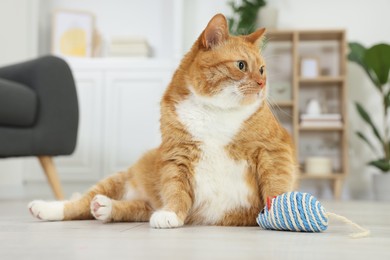 Cute ginger cat playing with sisal toy mouse at home