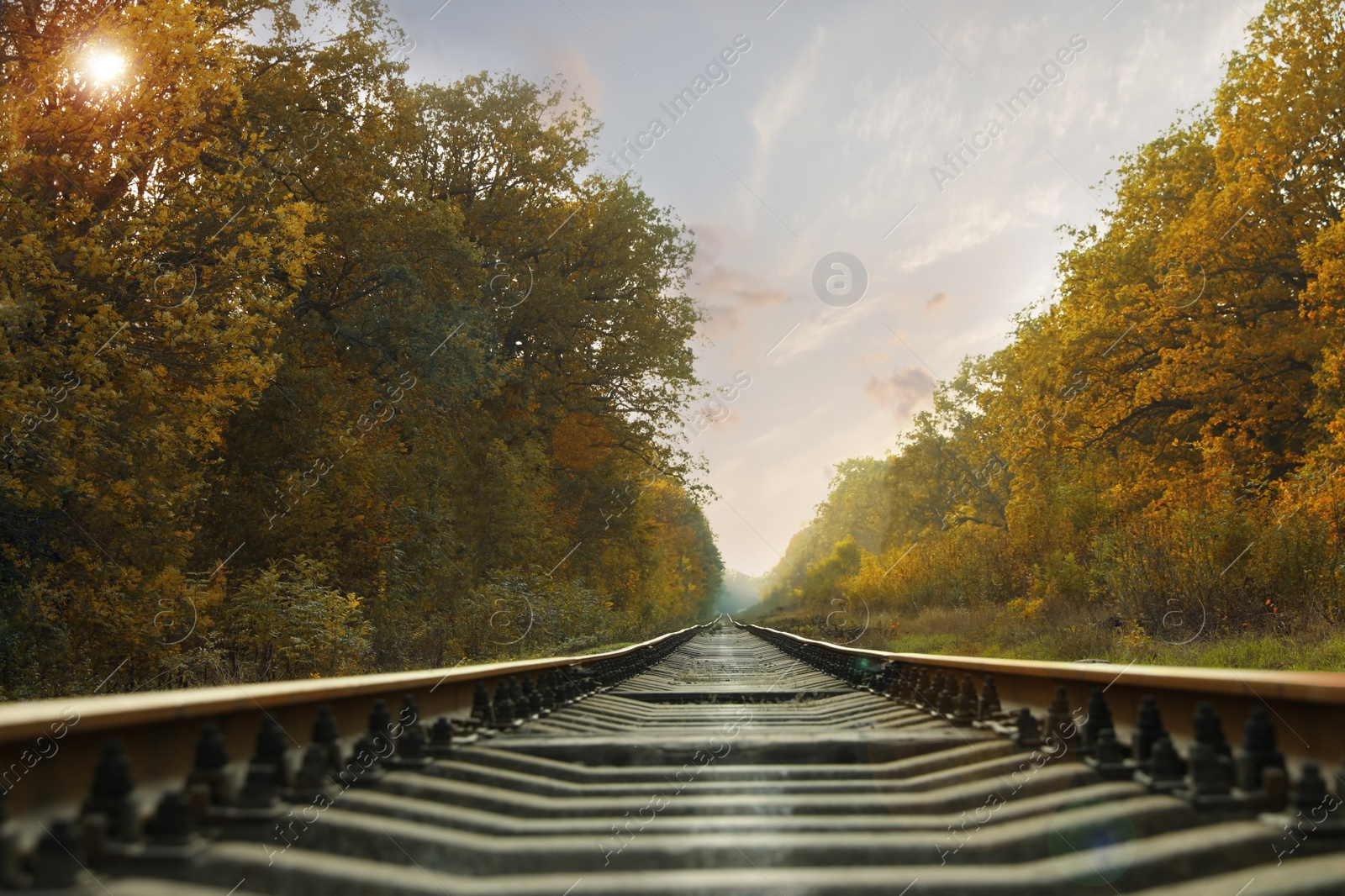 Photo of Picturesque view of railway near green autumn forest