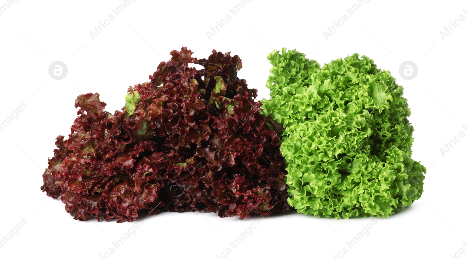 Photo of Different sorts of lettuce on white background