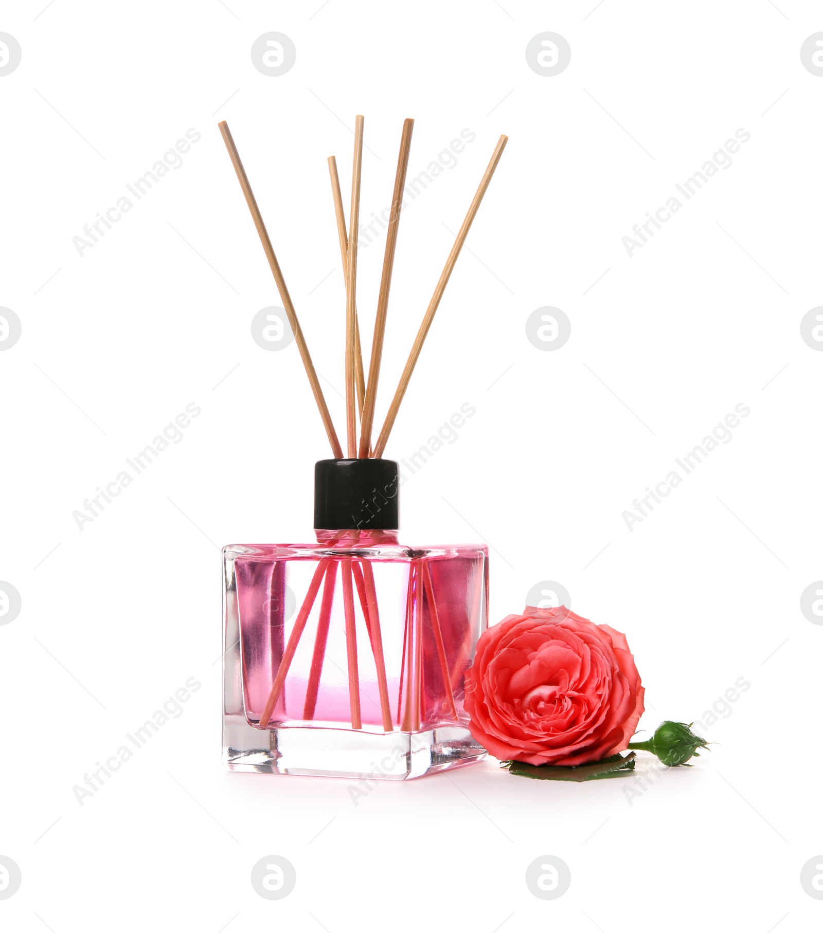 Photo of Aromatic reed air freshener and rose on white background