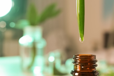 Photo of Clear drop falling from leaf into small bottle on blurred background, closeup with space for text. Plant chemistry