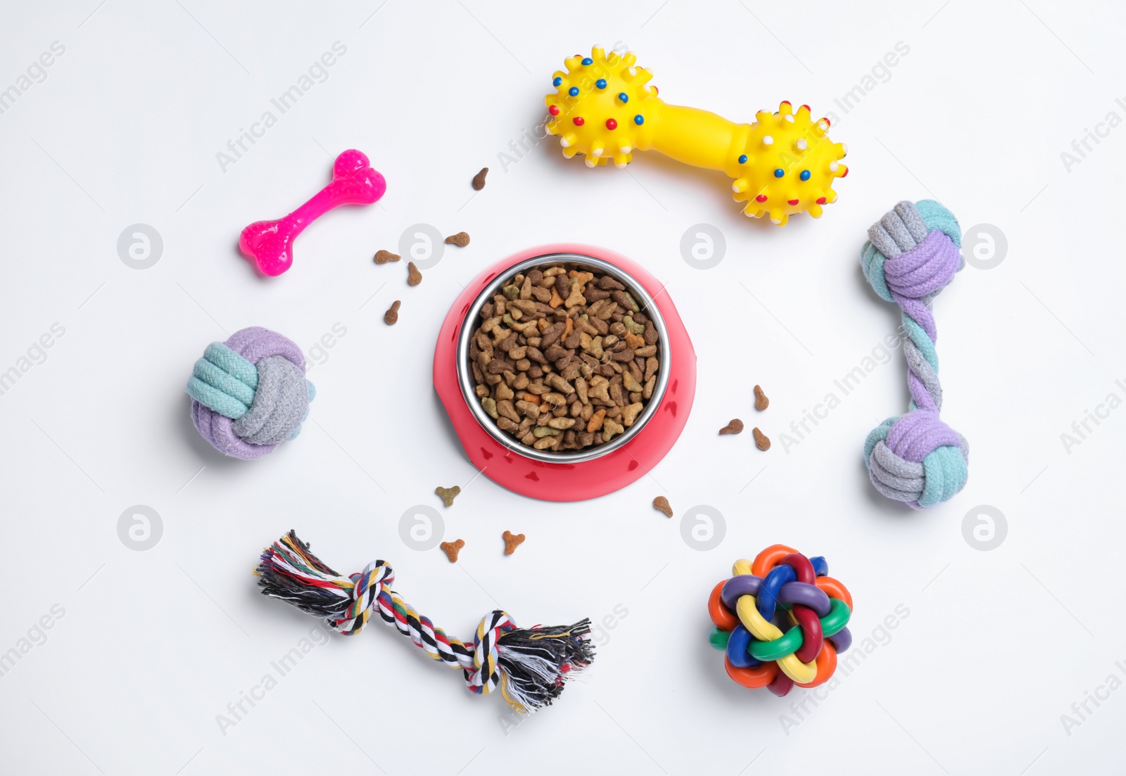 Photo of Different pet toys and feeding bowl on white background, top view