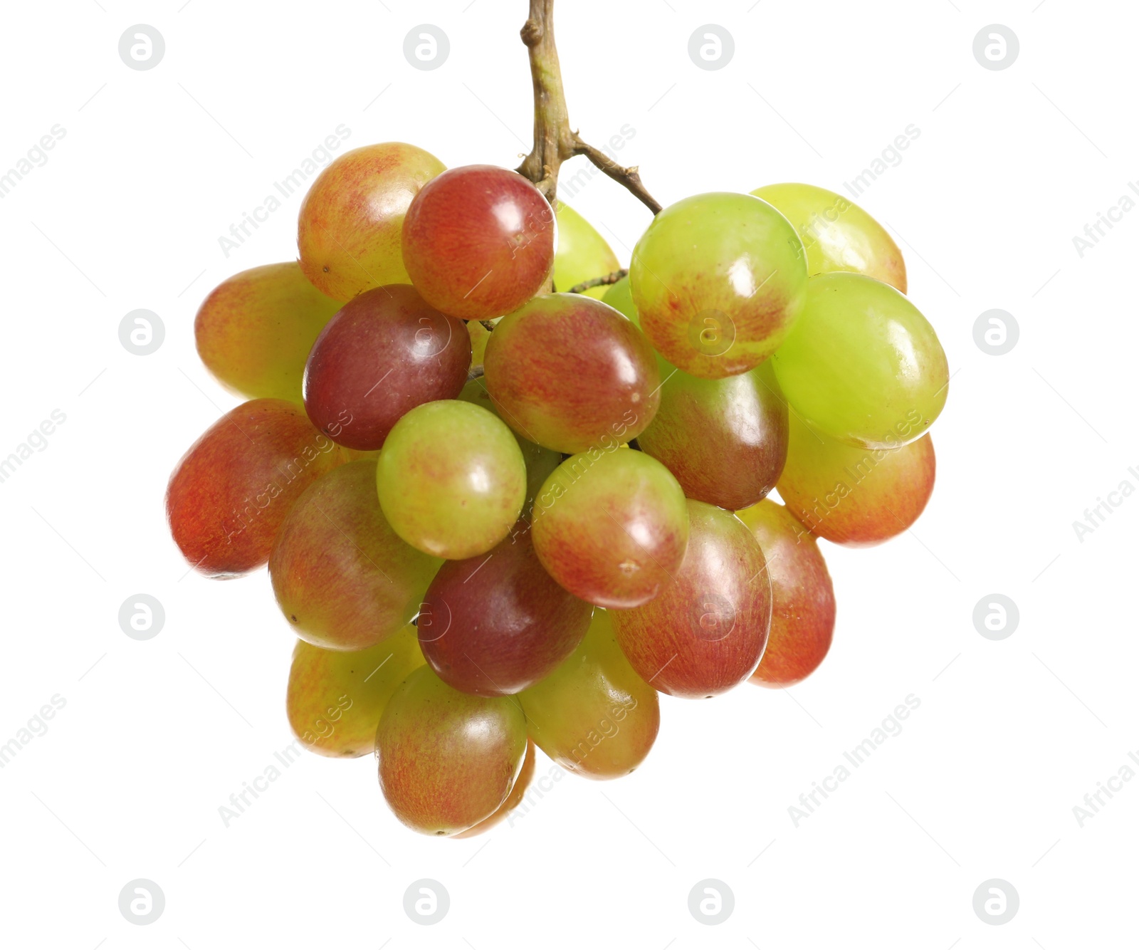 Photo of Bunch of fresh ripe juicy grapes on white background